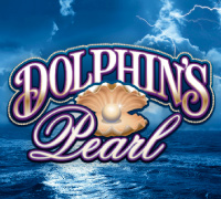 Dolphins Pearl
