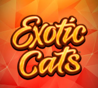 Exotic Cats 