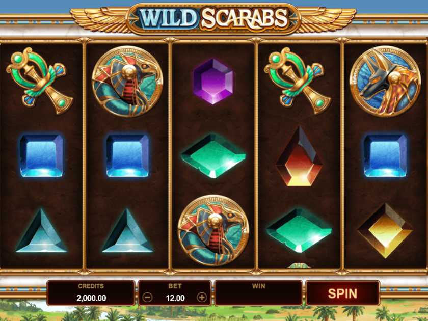 Wild Scarabs